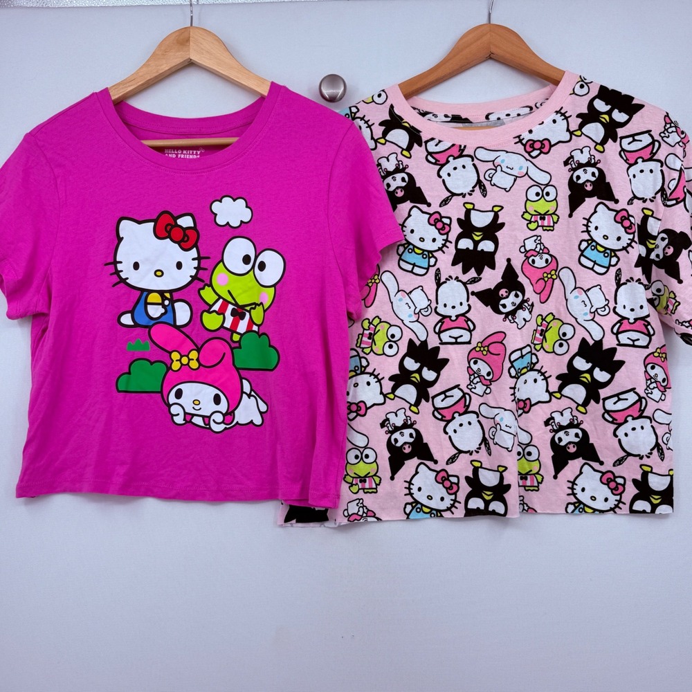 Sanrio Hello Kitty T Shirt 2 Pc Kids XL 14 Pink Graphic Tee Kawaii Anime